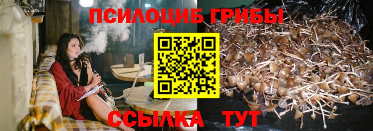 Амфетамин Орск