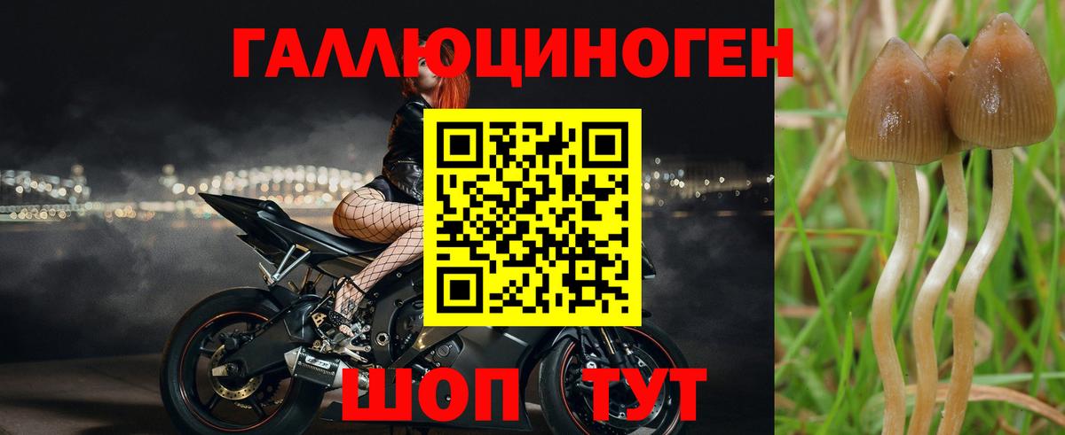 Галлюциногенные грибы Magic Shrooms  Вход с VPN  Галлюциногенные грибы GOLDEN TEACHER  Орск 